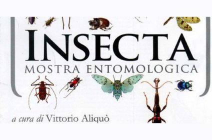 Mostra Museo Insecta floresta