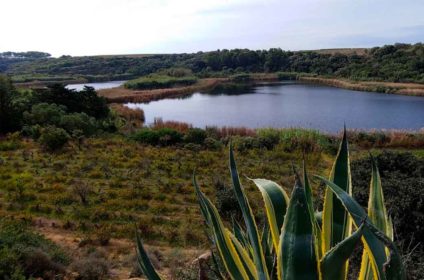Riserva Naturale Lago Preola Mazara del Vallo