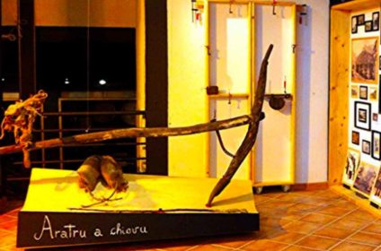 MeTe Museo Siculiana